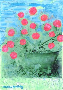 Rhododendron by Martina Konitzky