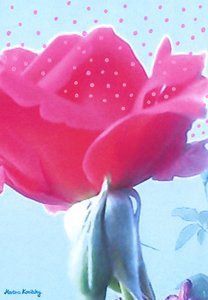 Rose Pink