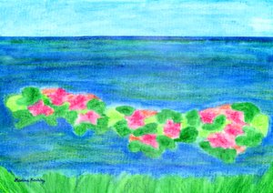 Water Lilies