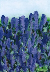 Lavender by Martina Konitzky