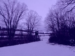 Untitled by Martina Konitzky