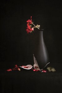 Broken Vase Red Flowers by Martine Benezech