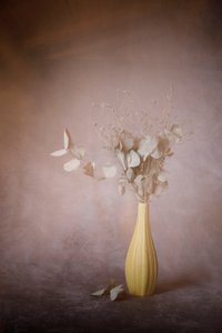 Soft Eucalyptus Still Life by Martine Benezech