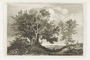Path Between Two Rows of Trees by Martinus Antonius Kuytenbrouwer jr.