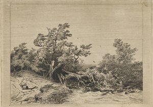 Storm