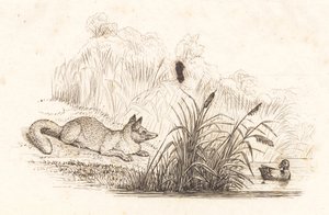 Illustration for 