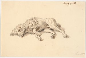 Lying Poodle by Martinus Rørbye
