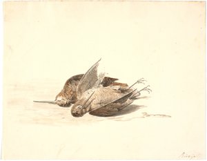 Two Dead Snipe