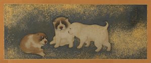 Puppies