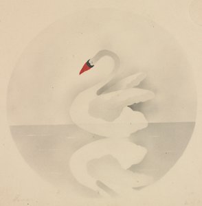 Swan by Mary Altha Nims