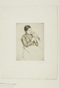 The Parrot