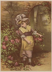 Girl picking roses