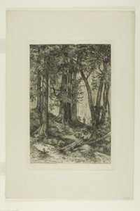 A California Forest by Mary Nimmo Moran