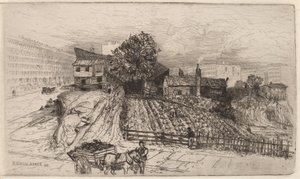 A City Farm—New York