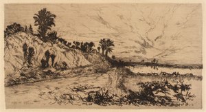 The Coast of Florida by Mary Nimmo Moran