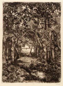 The Sea through the Woods by Mary Nimmo Moran
