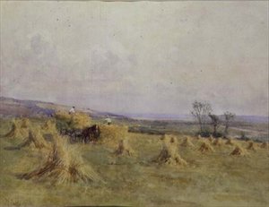 Harvesting by the Sea, Norfolk