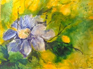 Clematis in the Evening Sun by Mary Smith
