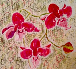 Orchids by Mary Smith