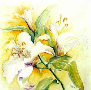 White Lilies