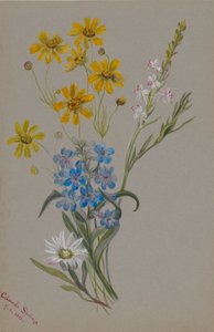 (Untitled, Group of Flowers)
