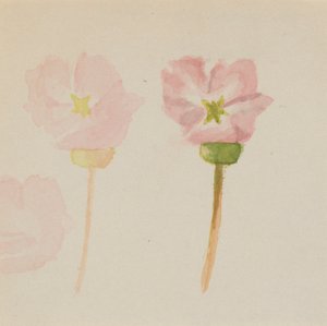 My First Painting by Mary Vaux Walcott