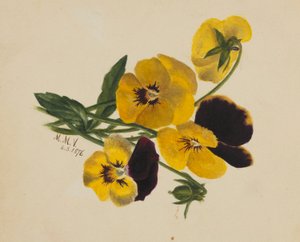(Untitled)