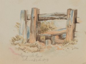 Untitled (Style) by Mary Vaux Walcott