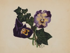 Untitled Pansies and Ivy