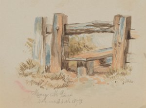 Untitled Stile, 1873 by Mary Vaux Walcott