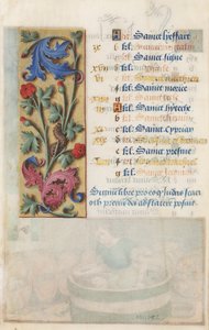 Flower Panel with Acanthus, Pink and Caterpillar, from the Hours of Louis XII, 1498-99