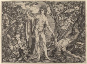 Apollo and Marsyas