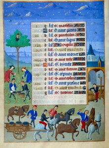 Grape Harvest and Transport Page from 