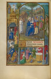 The Visitation