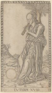 Euterpe