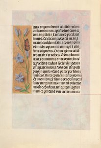 Hours of Queen Isabella the Catholic, Queen of Spain: Fol. 262v by Master of the First Prayerbook of Maximillian