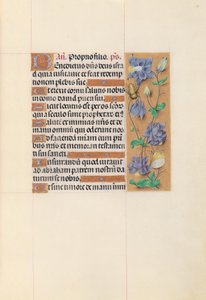 Hours of Queen Isabella the Catholic, Queen of Spain: Folio 59r by Master of the First Prayerbook of Maximillian