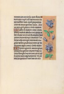 Hours of Queen Isabella the Catholic, Queen of Spain: Fol. 99r, c. 1500 by Master of the First Prayerbook of Maximillian