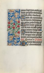 Book of Hours Use of Rouen: fol. 30v