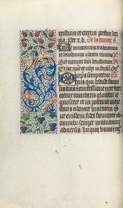 Book of Hours Use of Rouen: fol. 49v