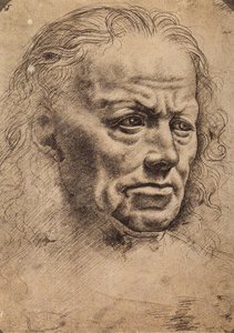 Head of a man by Master of the Pala Sforzesca