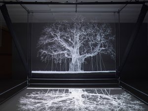 Albion, 2017 by Mat Collishaw