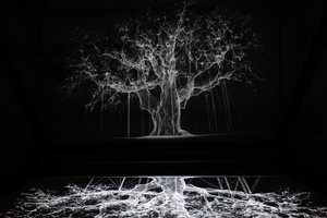 Albion by Mat Collishaw