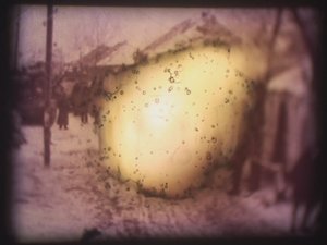 Barbarossa, 2002 by Mat Collishaw