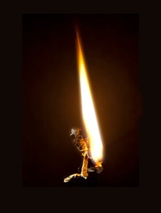 Burning Butterfly 8, 2013