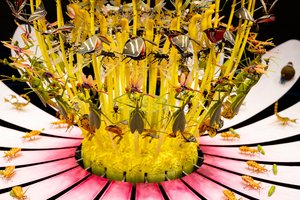 Equinox, 2021 by Mat Collishaw