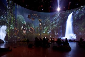 Sordid Earth by Mat Collishaw