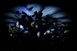 The Garden of Unearthly Delights by Mat Collishaw