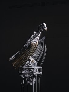 The Nerve Rack by Mat Collishaw