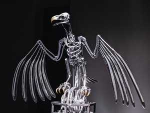 The Nerve Rack by Mat Collishaw